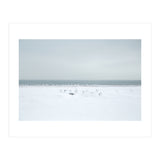 Seagulls in the Snow beach (Print Only) thumbnail