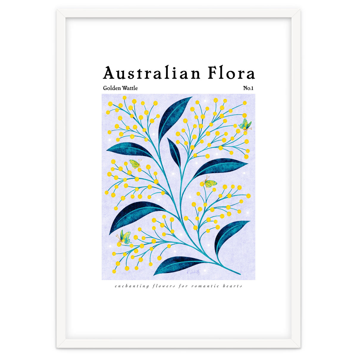 Australian Flora: Golden Wattle