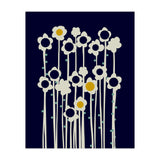 expectant iteration winter sun flowers (Print Only) thumbnail
