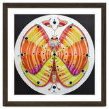 Clock butterfly thumbnail