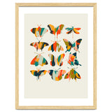 Colorful Butterflies thumbnail