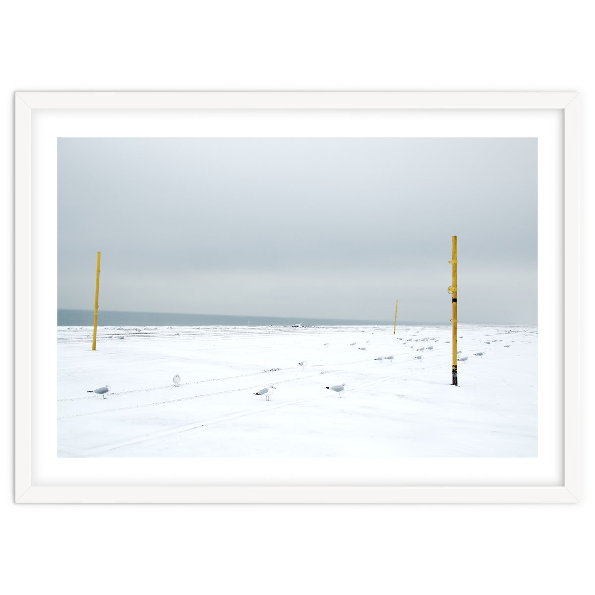 Seagulls in between the volleyball poles in winter snow beach