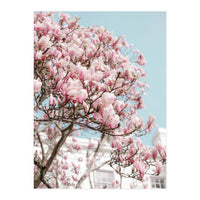 Spring Time (Print Only)