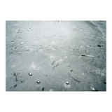 Frozen ice pond (Print Only) thumbnail