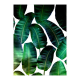 Cosmic Banana Leaves (Print Only) thumbnail