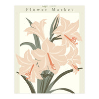 Flower Market Cap Town Amaryllis (Print Only)