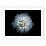 Backyard Flowers No 90 Color Version thumbnail
