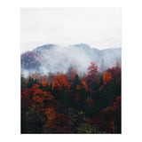 Fog (Print Only) thumbnail