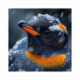 Close Up Penguin In Snow With Water Droplets (Print Only) thumbnail