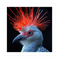 Secretary Bird (Print Only)