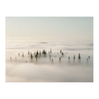 Misty Peaks: Pine Forest Above the Clouds (Print Only)