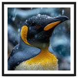 King Penguin Close Up In The Rain thumbnail