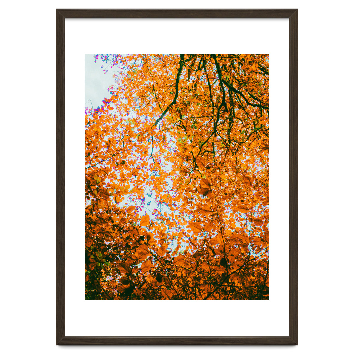 Autumn Leaves