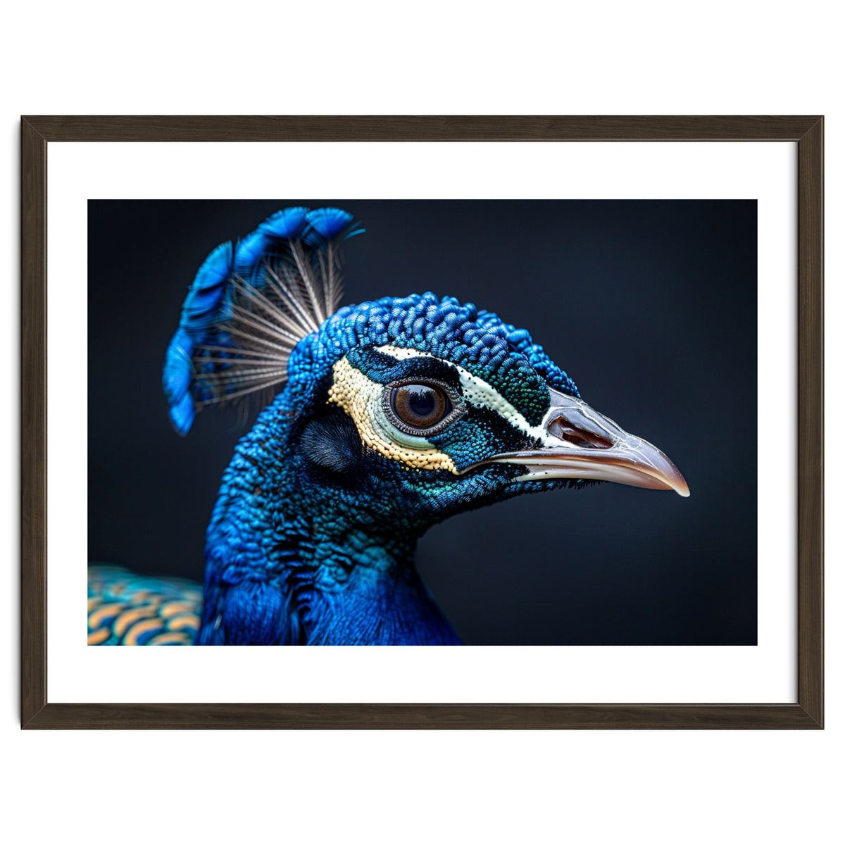 Close Up Of A Peacock Head Blue Feather