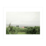 Red Roof house in between the summer green field - Iceland (Print Only) thumbnail
