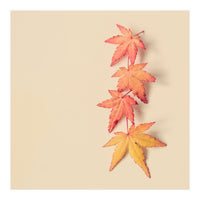 Maple In Pastel (Print Only)