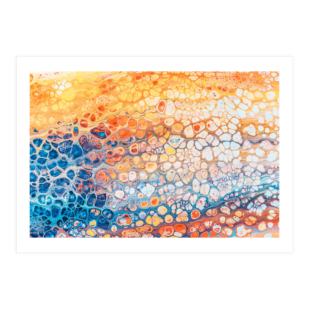 The Bright Side (Print Only)