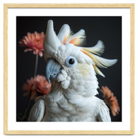 Beautiful Cockatoo Parrot With Yellow Crest