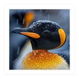 King Penguin Close Up In Snowfall (Print Only) thumbnail