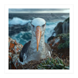 Black Browed Albatross Perched On Nest Near Ocean (Print Only) thumbnail