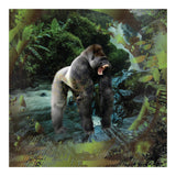Gorilla  (Print Only) thumbnail