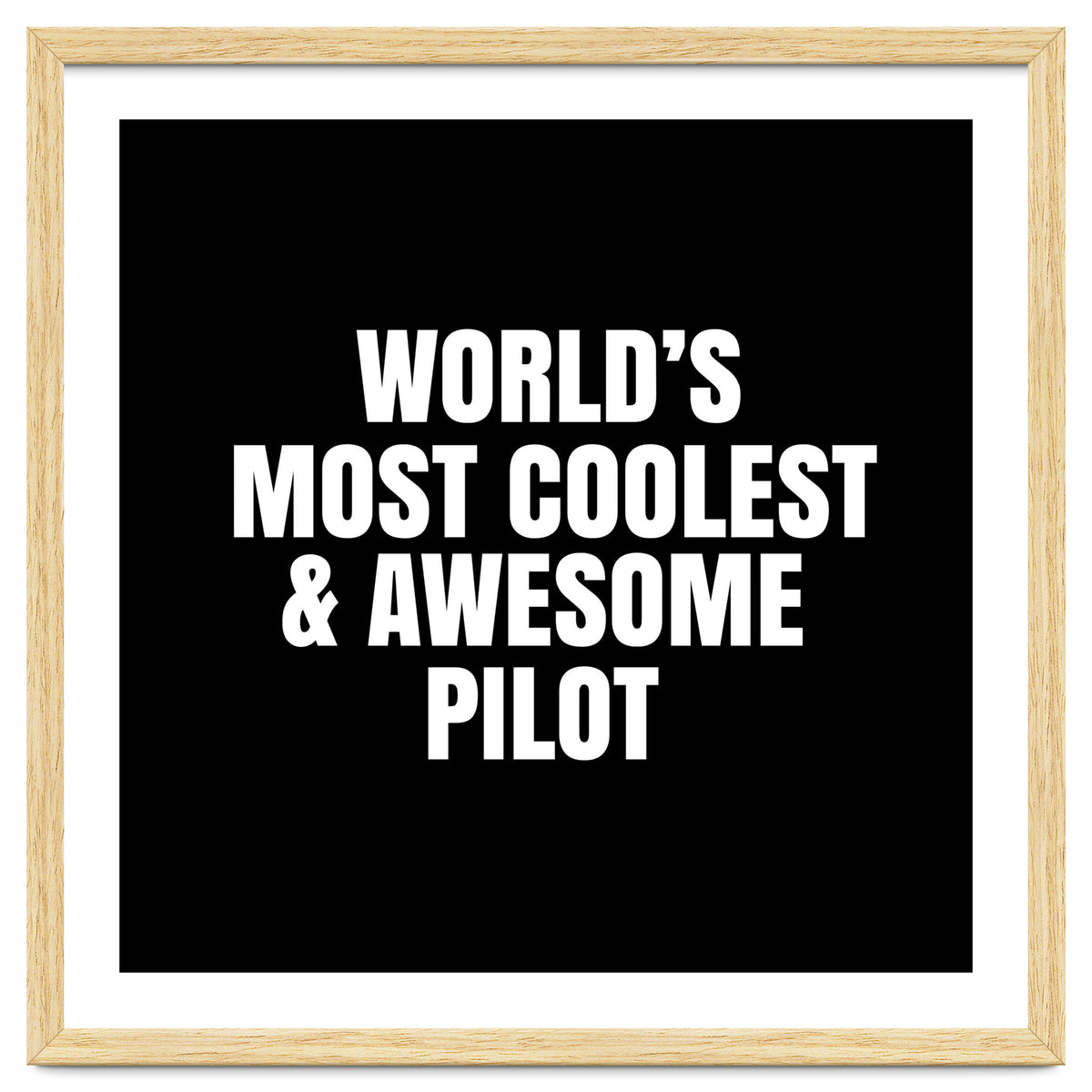 World's most coolest and awesome pilot