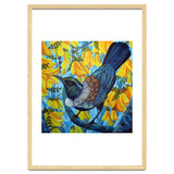 Kowhai thumbnail