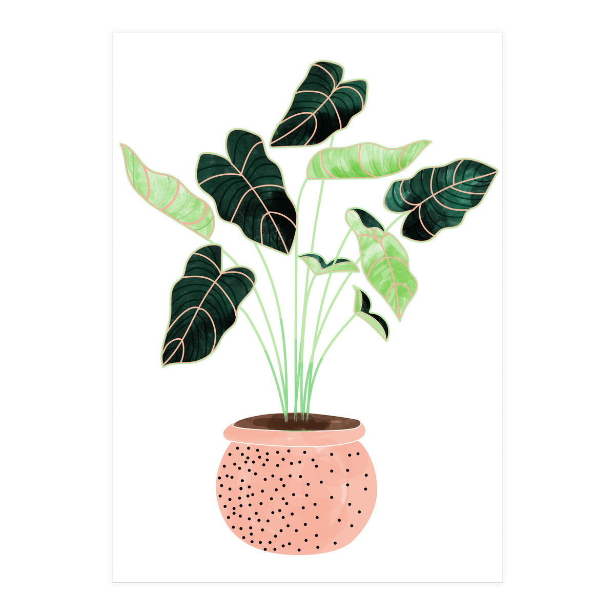 Home Plant | Ceramic Botanical Planter Illustration | Minimal Bohemian Watercolor Painting Polka Dot (Print Only)