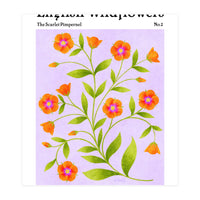 English Wildflowers | Scarlet Pimpernel  (Print Only)