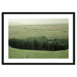 Small forest - Iceland thumbnail