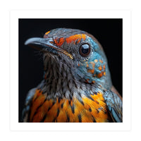 Close Up Of A Colorful Exotic Bird Head (Print Only)