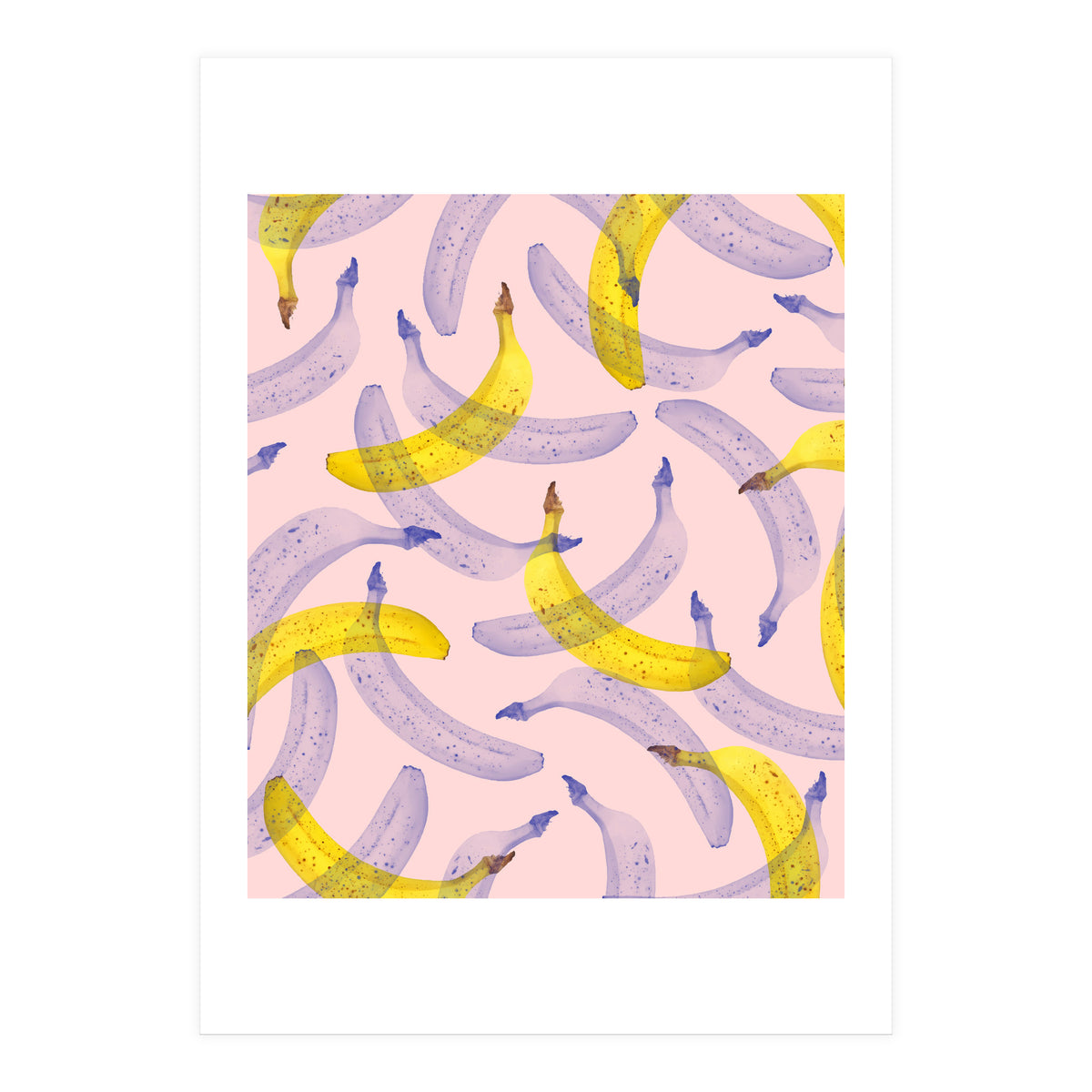Banana Under Scrutiny (Print Only)