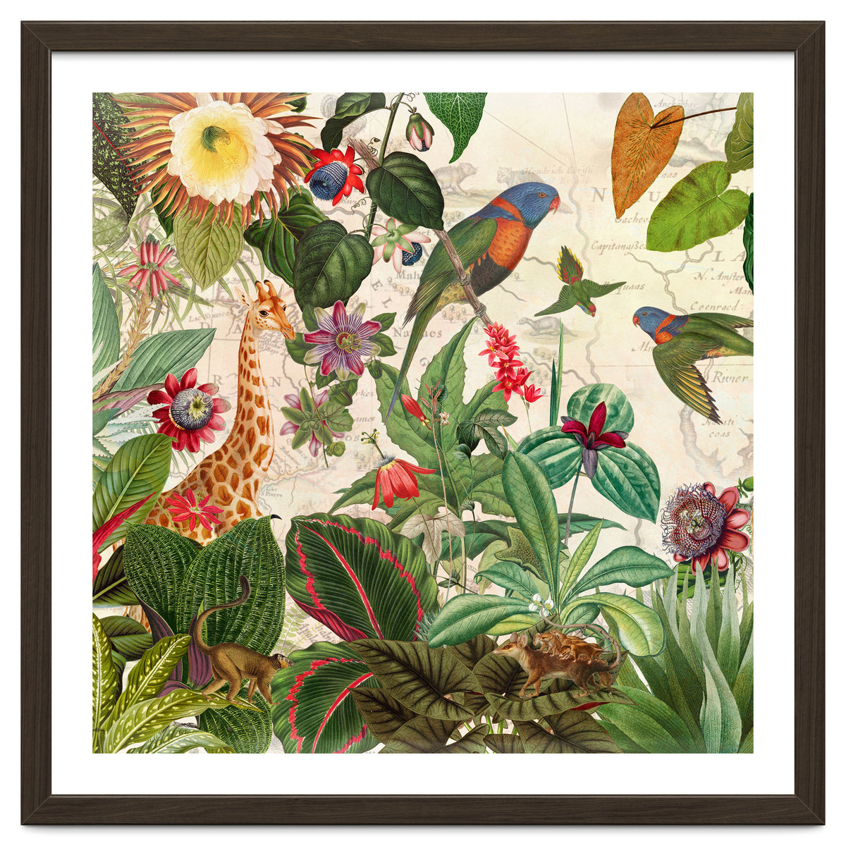 Exotic Lush Jungle And Wild Animals Landscape