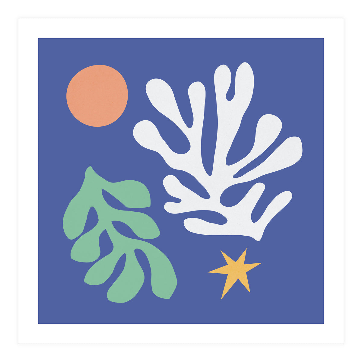 Floral matisse 2 (Print Only)