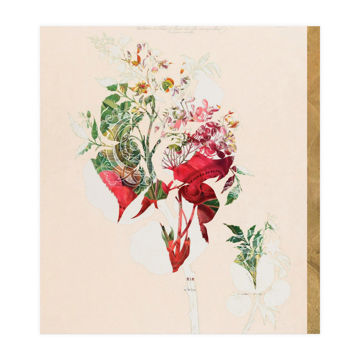 The First Plant · Aufbluehen (Print Only)