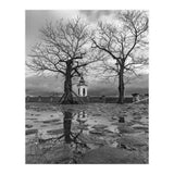 Churches and trees (Print Only) thumbnail