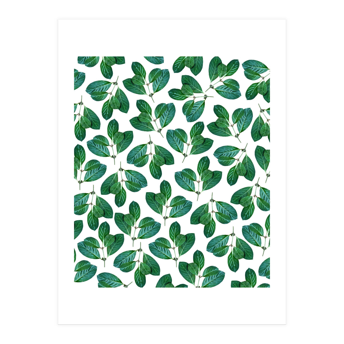 Lemon Leaf (Print Only)