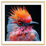 Close Up Of Exotic Bird With Vibrant Plumage thumbnail