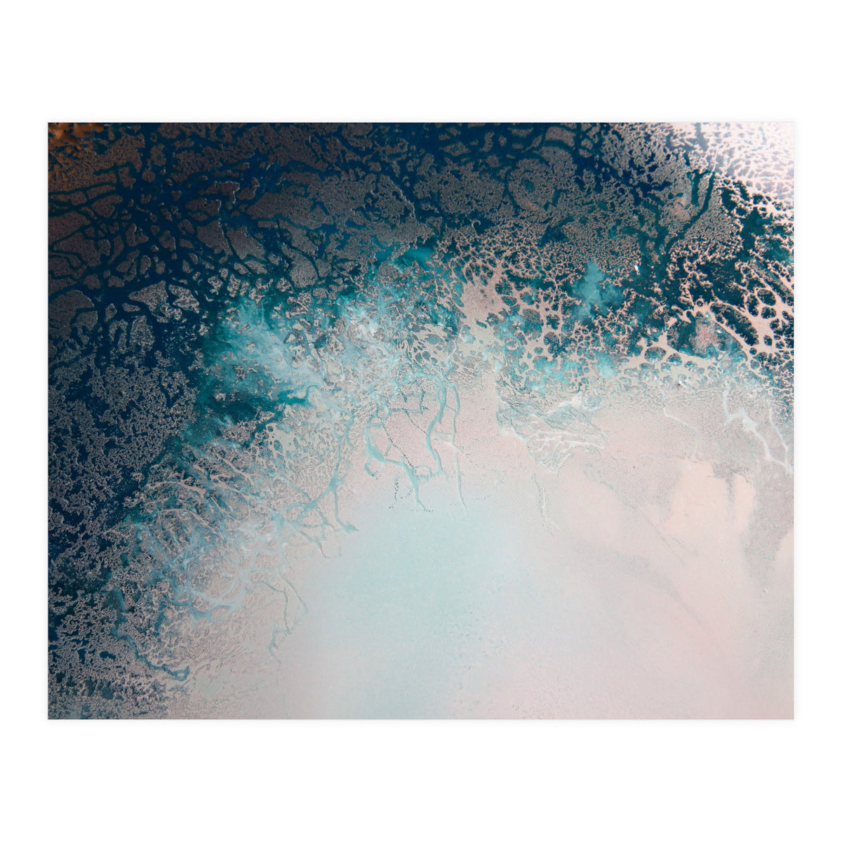 Flourish (Print Only)