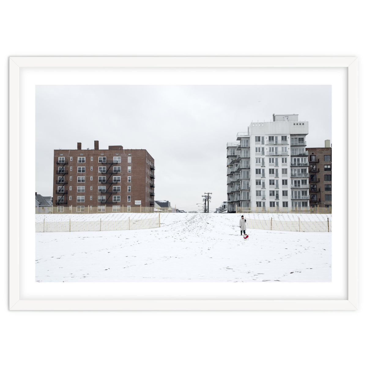 Walking with the dog on a snowy day