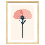 Pink Half Poppy thumbnail