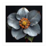 Hellebore | Silver Magic (Print Only) thumbnail