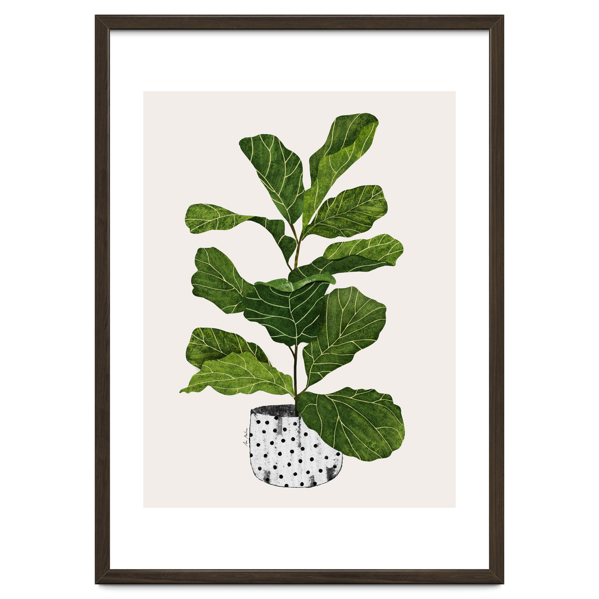 Fiddle Leaf Fig Tree Plant