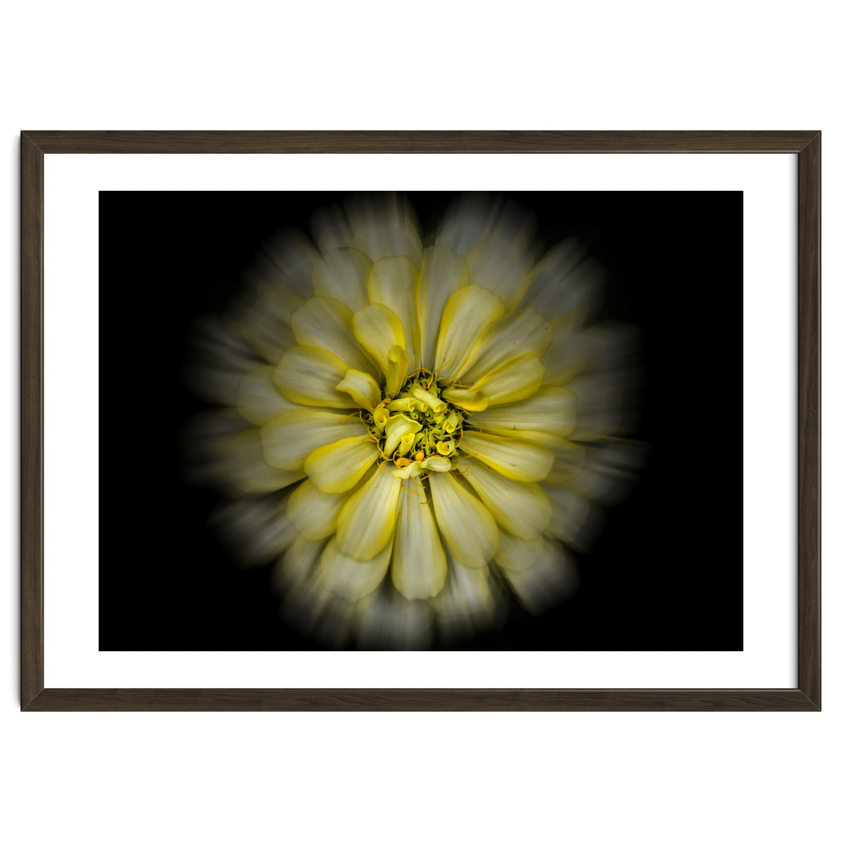 Backyard Flowers No 86 Color Flow Version