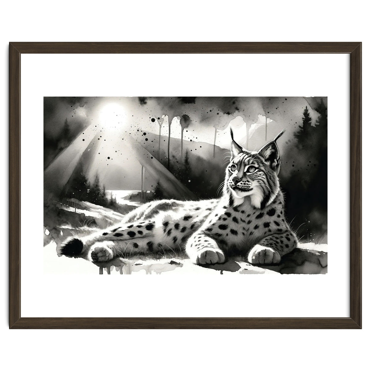 Lynx Resting In Sunlight