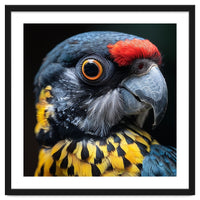 Close-up Portrait of a Vibrant Parrot