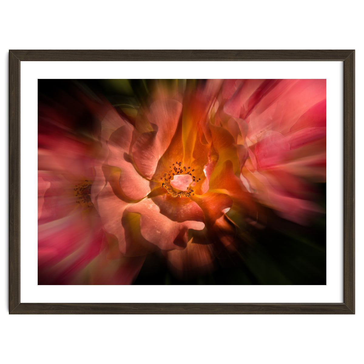 Backyard Flowers No 40 Color Flow Version