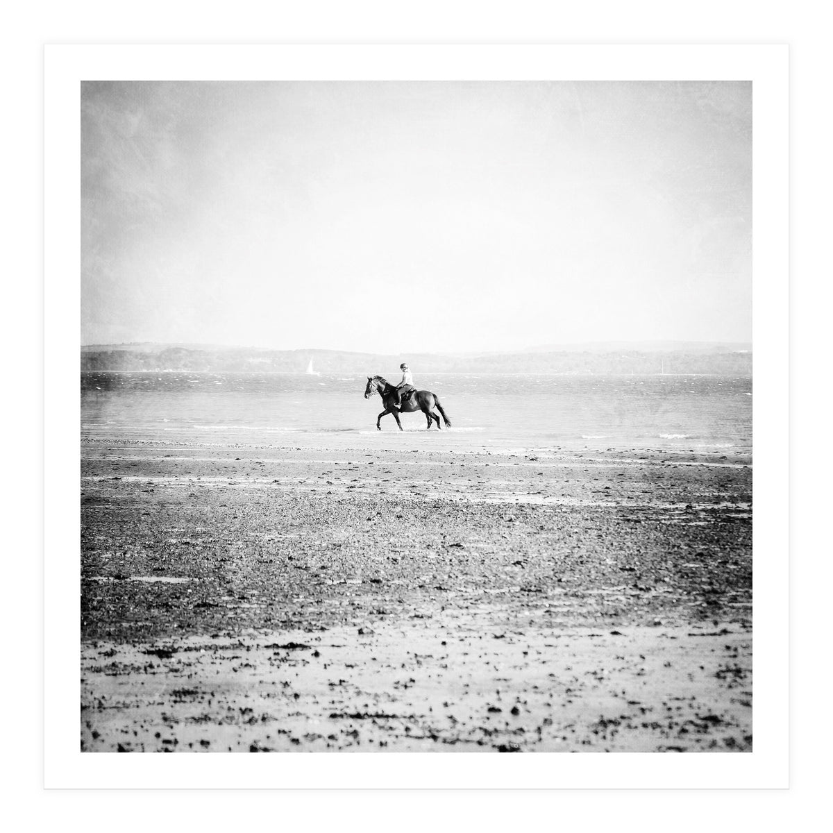 Sea Horse (Print Only)
