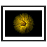 Backyard Flowers No 10 Color Version thumbnail