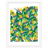 Summer Strelitzia thumbnail